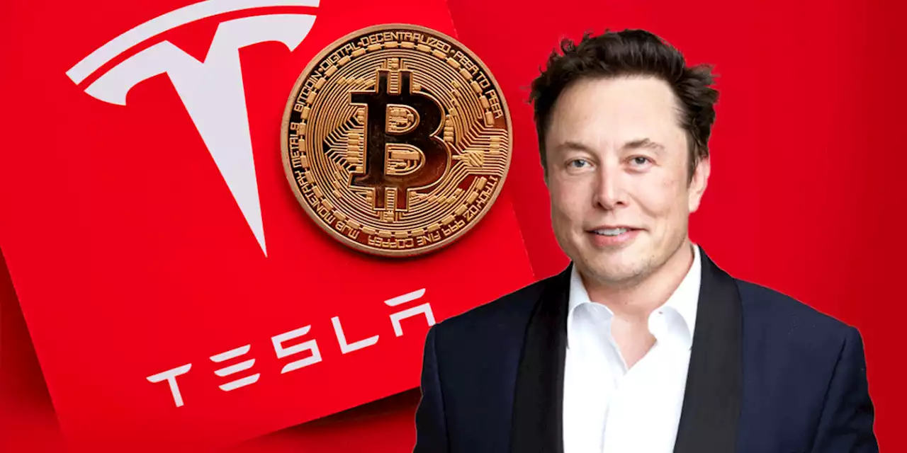 รายงานเผย Tesla ยังถือครอง Bitcoin ในงบดุลไว้เกือบ 184 ล้านดอลลาร์ และมีแผนที่จะรับ DOGE เพิ่มในอนาคต