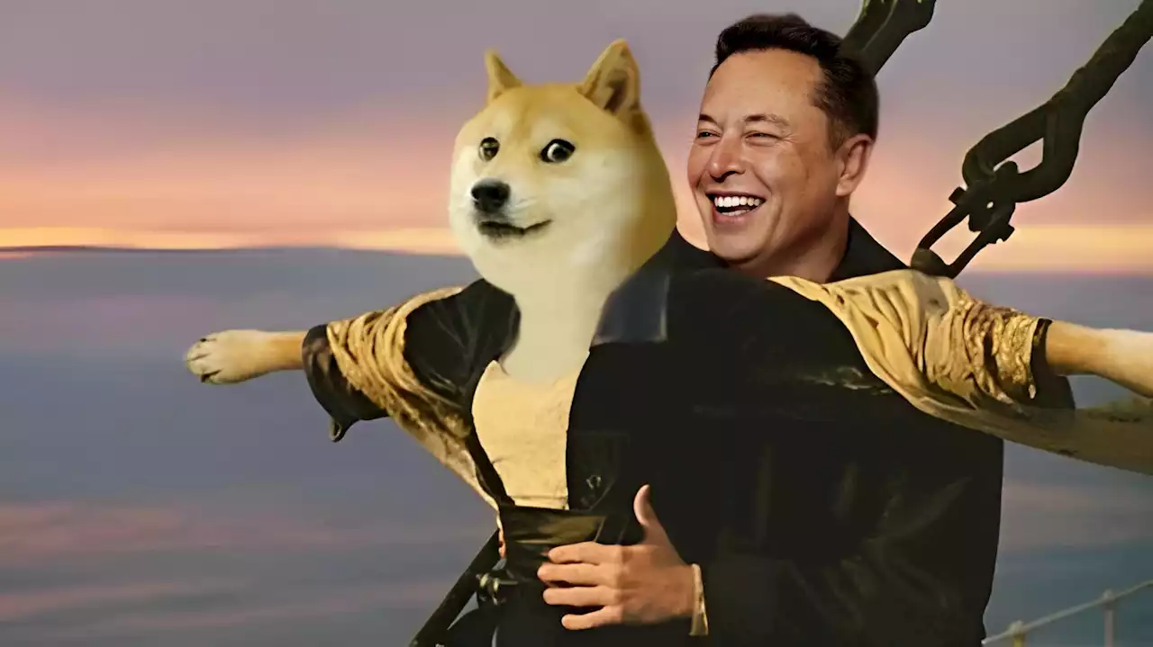 หากลงทุนใน DOGE ตั้งแต่วันแรกที่ Elon Musk ถูกฟ้องข้อหา ‘ปั่นราคา’ วันนี้คุณจะมีเงินเท่าไร?