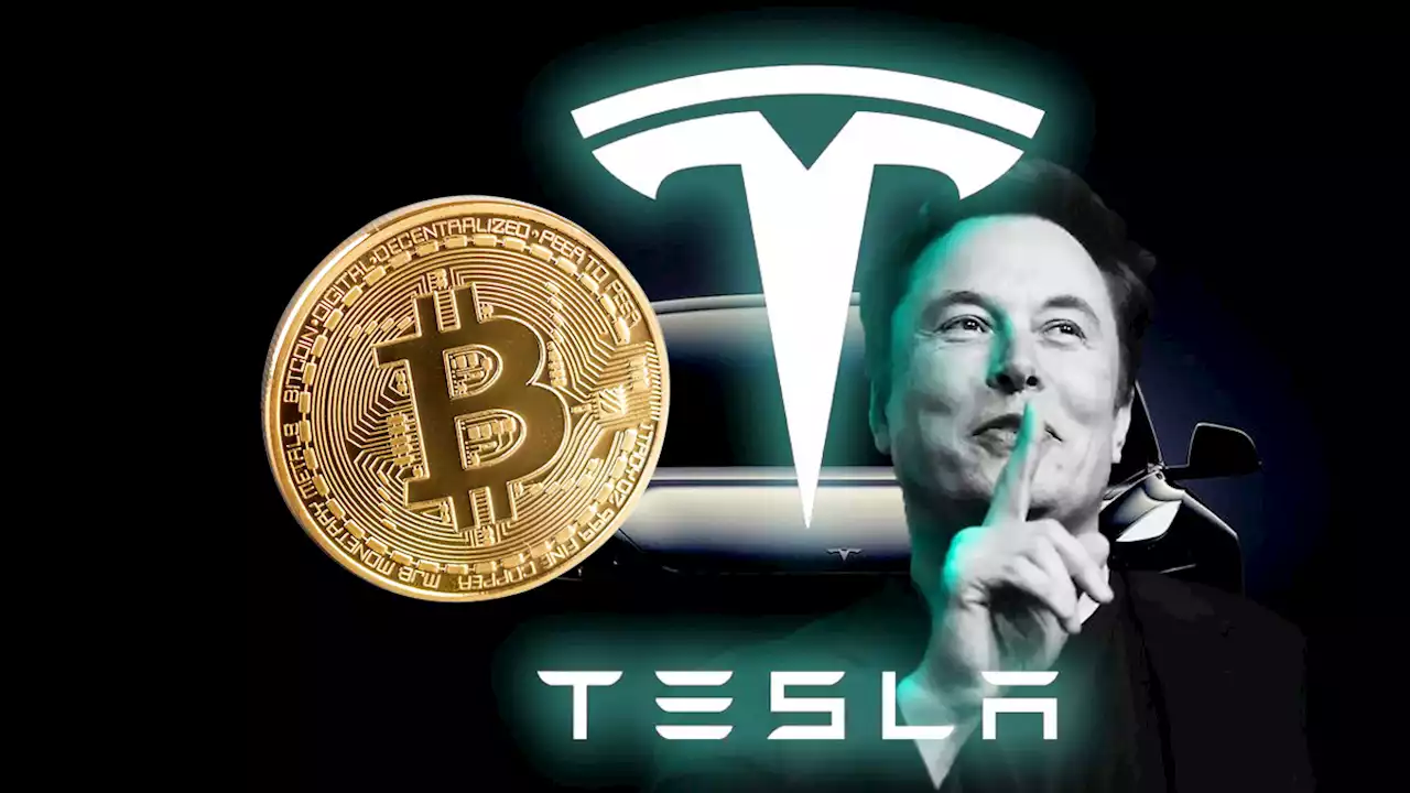 Tesla โชว์ผลประกอบการ ! ยังถือครอง Bitcoin เท่าเดิม ไม่มีการเปลี่ยนแปลงในไตรมาสที่ 2 นี้