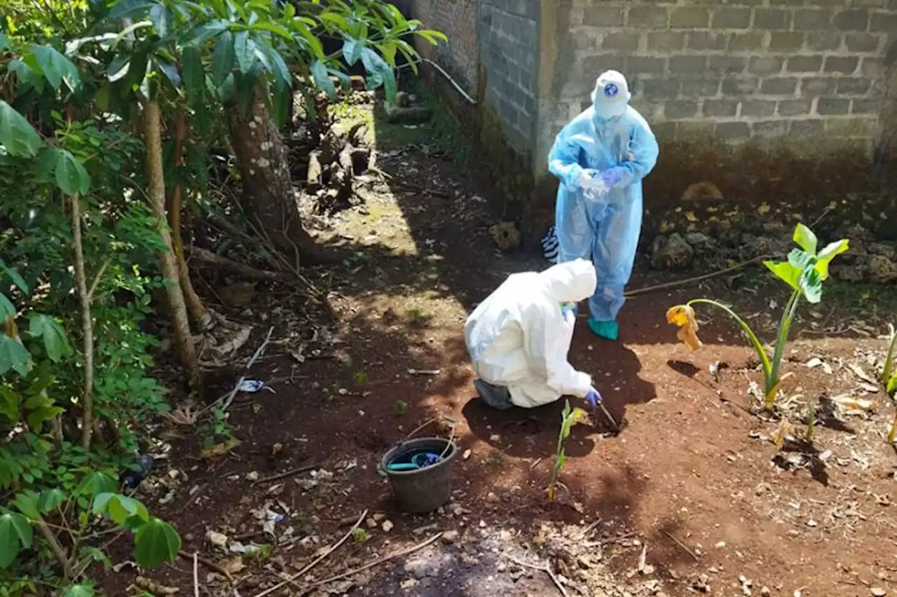 Komsumsi Kambing, 2 Warga Gunungkidul Diduga Terinfeksi Antraks