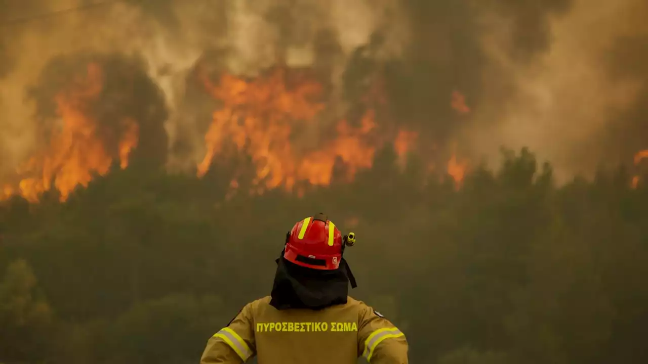 Thousands of acres of blackened wasteland show the climate crisis is very real - and it's getting worse