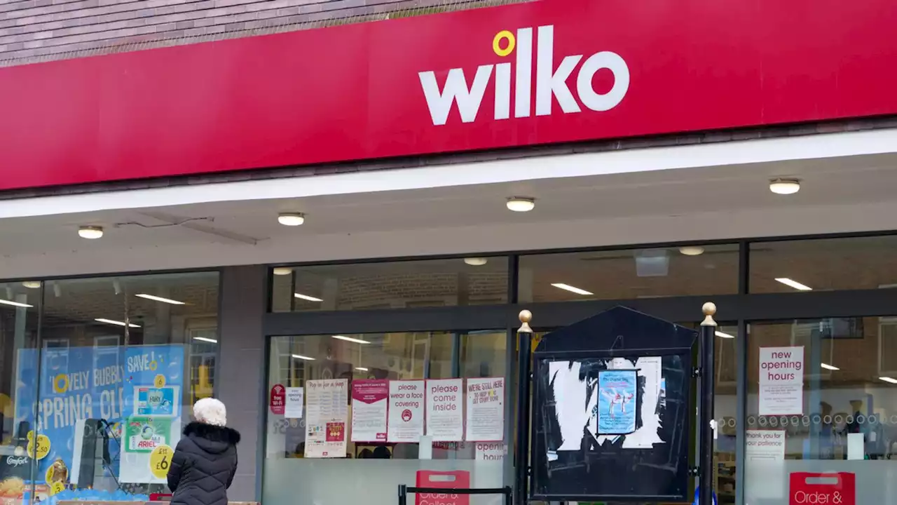 Wilko owners explore sale in race to salvage chain's future