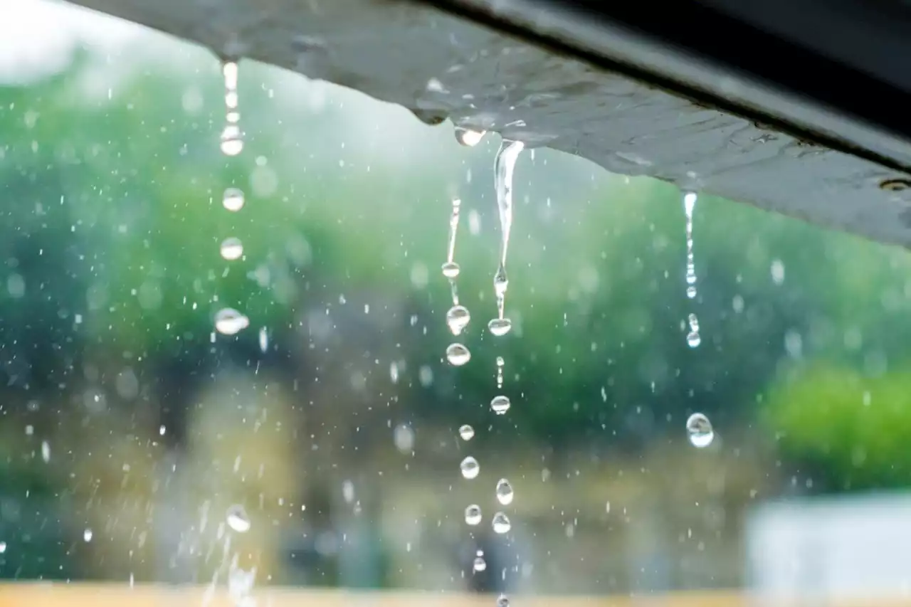 Significant rainfall expected for the Sault and area