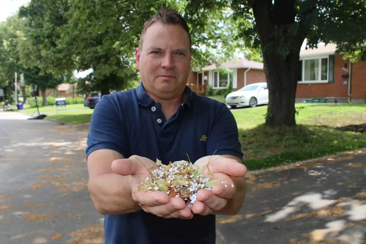 Styrofoam fragments 'snowing' onto Sudbury-area neighbourhood