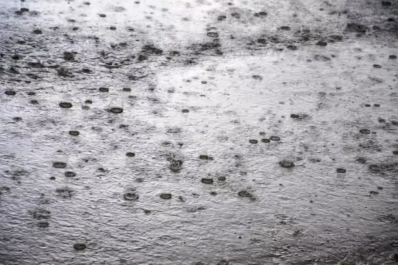 Special weather statement: 30 to 50 mm of rain possible today