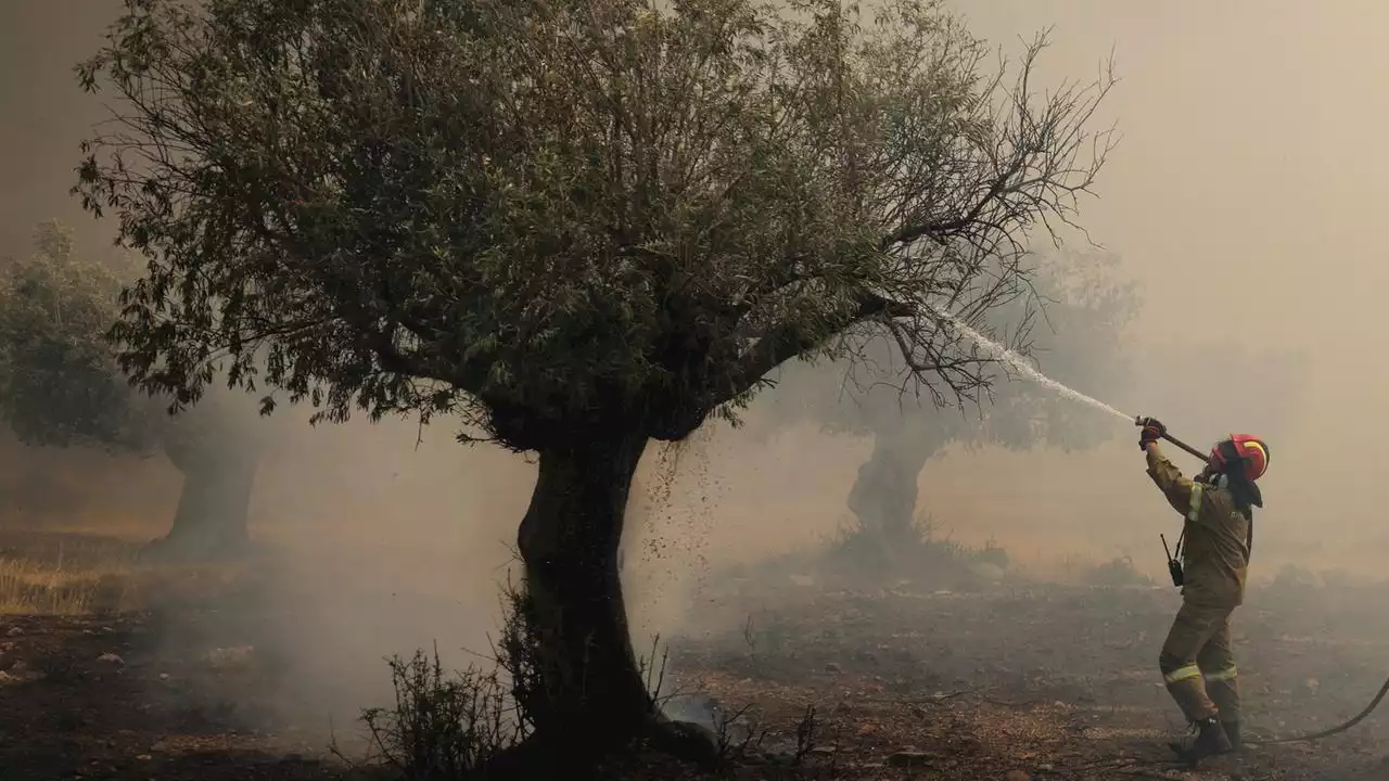 Zwei der drei Waldbrände in Griechenland eingedämmt