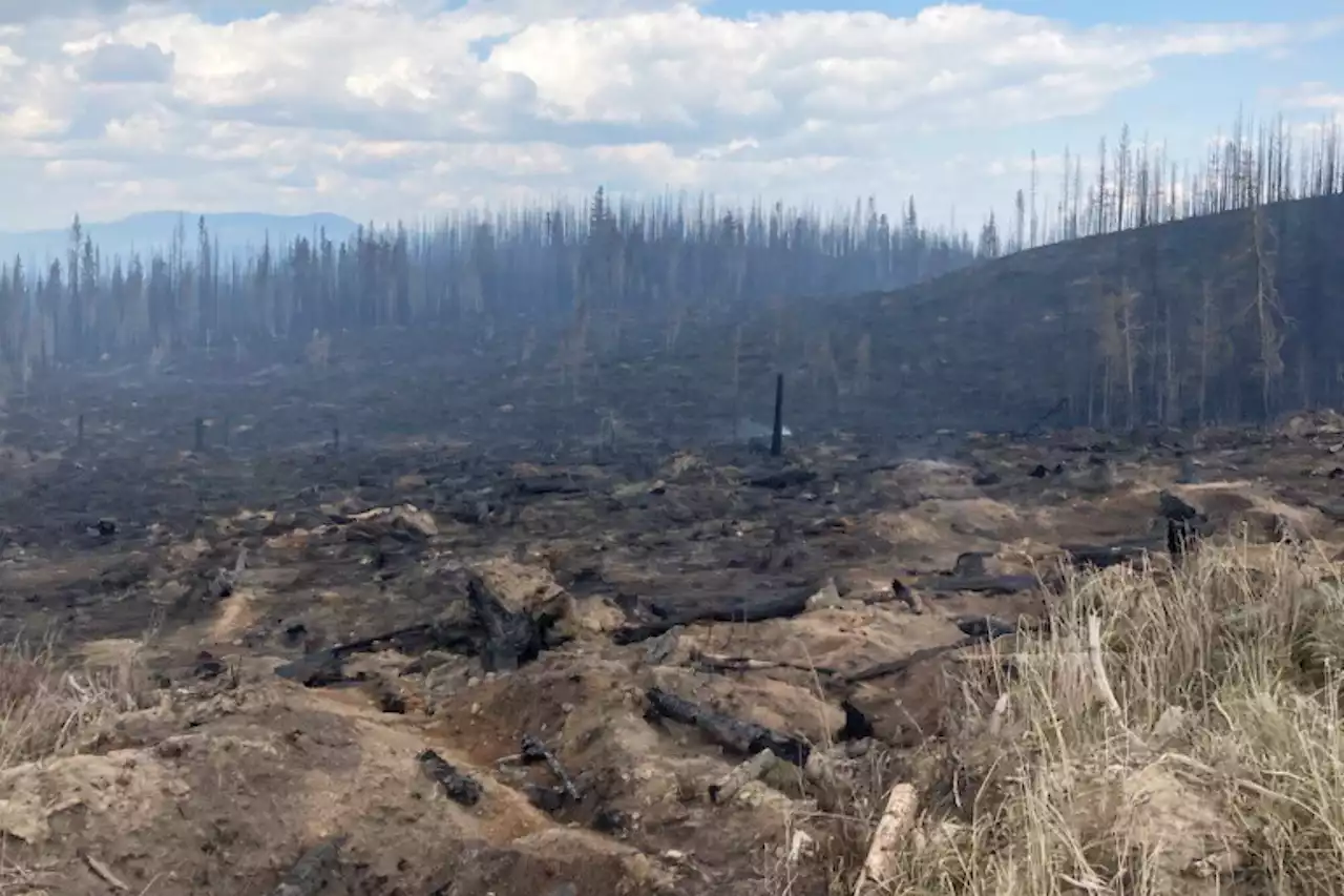 Nearly a quarter of B.C.’s 34 water basins at highest drought levels - Terrace Standard