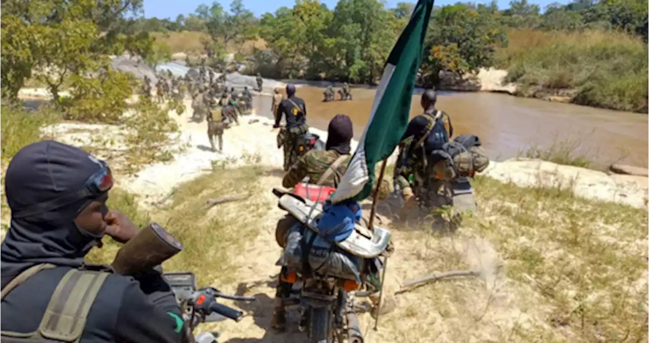 DHQ: Troops killed many terrorists, arrested eight collaborators in two weeks | TheCable