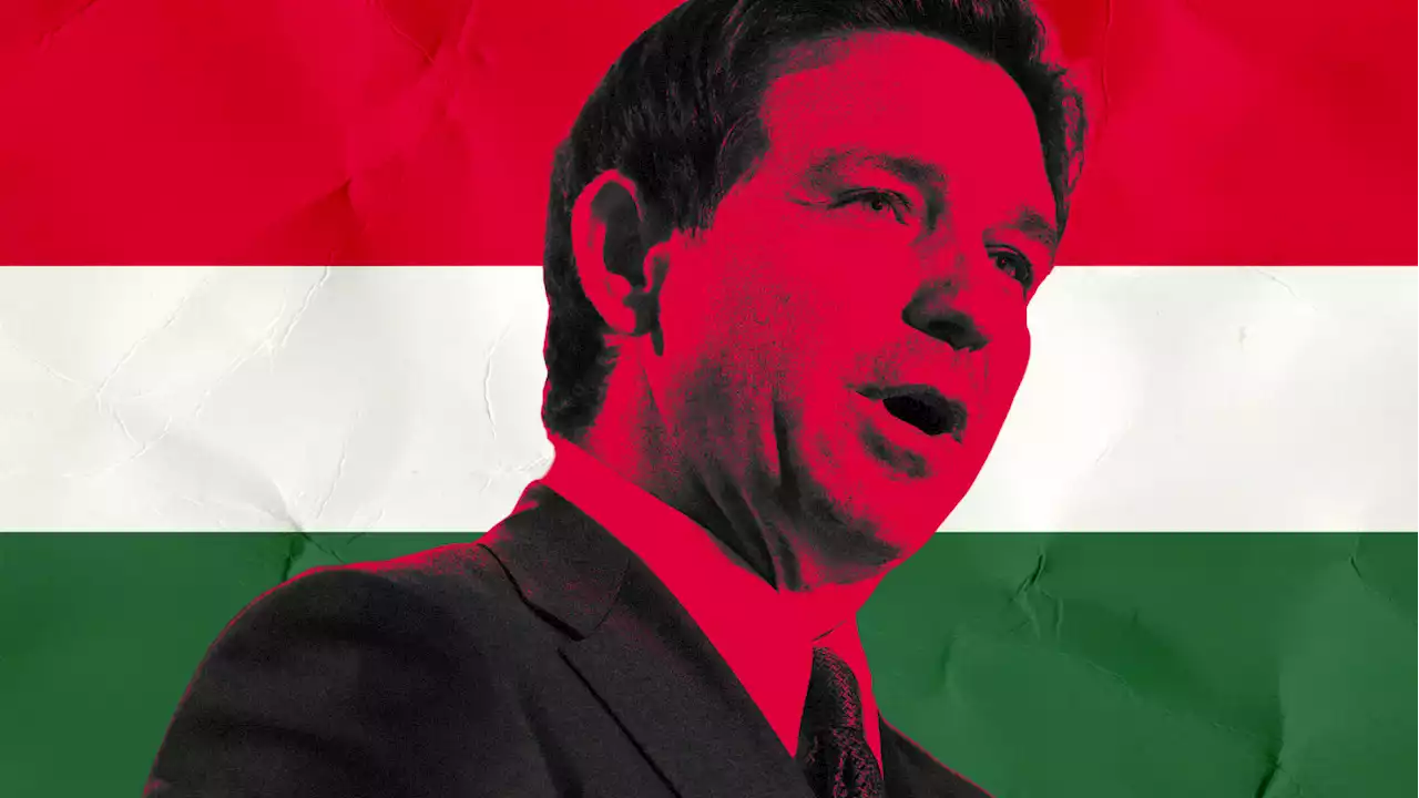 Ron DeSantis Wants to Make America Hungary