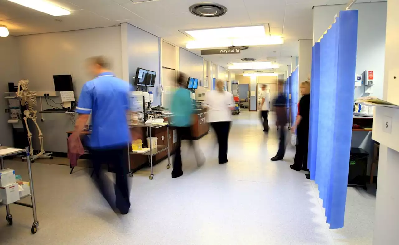 NHS routine care at 'virtual standstill' as consultants begin first major strike in decades