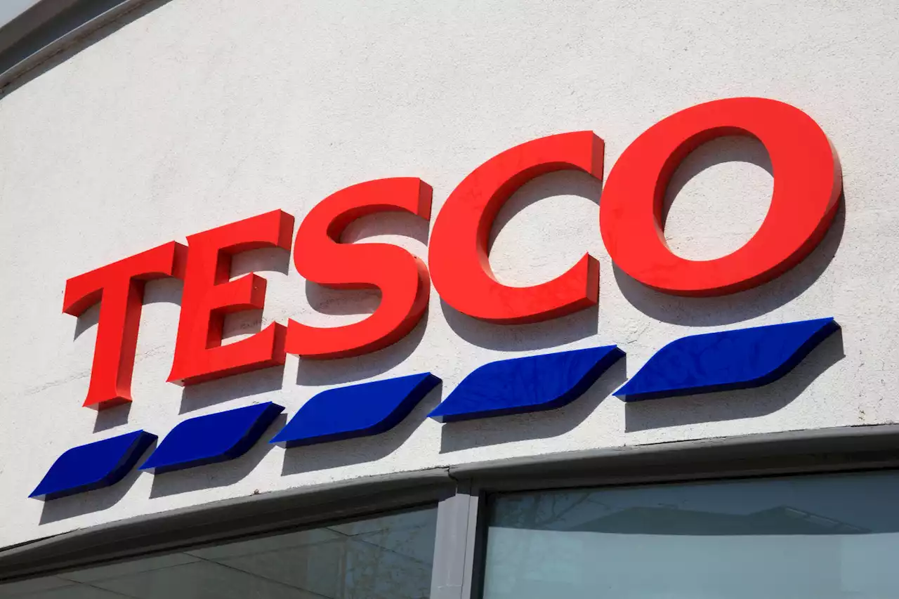 Tesco shoppers go mad for a £75 buy that's now £30 & it will jazz up your garden