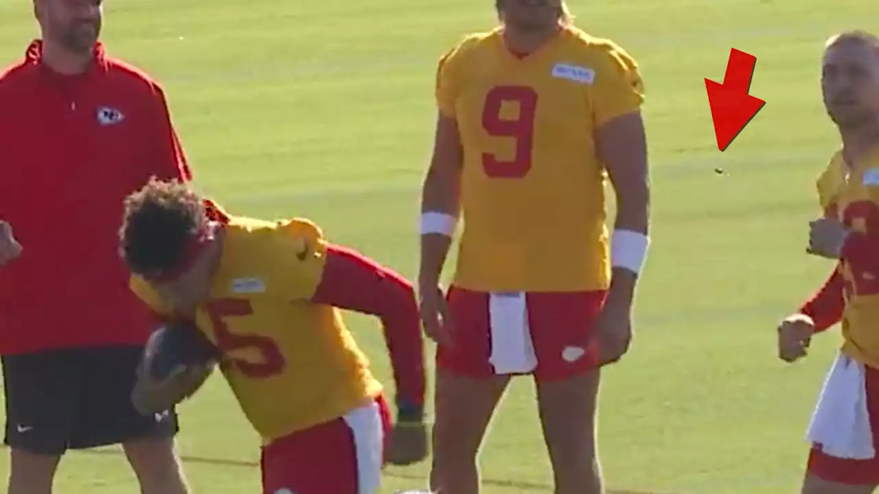 Patrick Mahomes Freaks Out Over Bee At Chiefs Practice