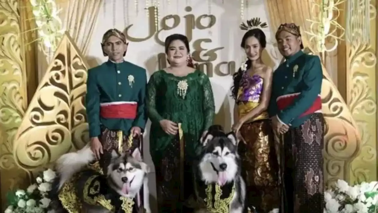 Not fur-ever after: 2 Indonesians sorry after backlash over lavish S$17,700 dog 'wedding'