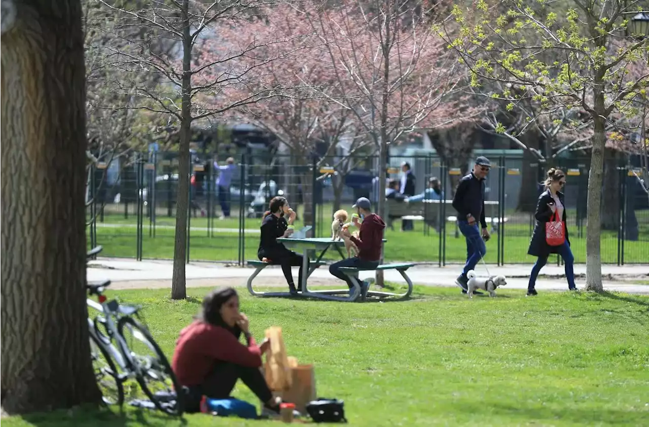 Coming next month: drinking in 27 Toronto parks