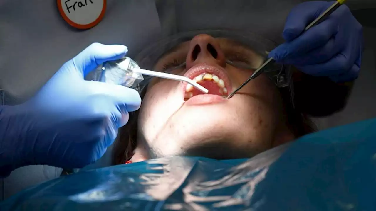 Millions in UK unable to get dental appointments from NHS