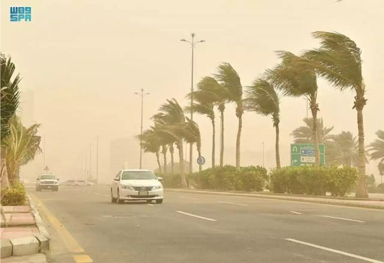 تقلبات جوية على المدينة المنورة حتى الـ 8 مساءً - صحيفة تواصل الالكترونية