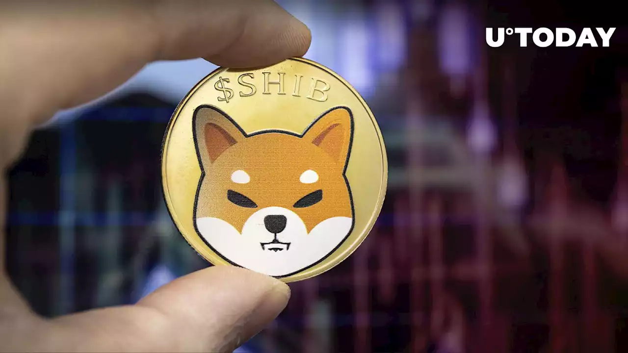 SHIB Influencer Explains Why Shiba Inu Remains in Red Despite Future Shibarium Launch