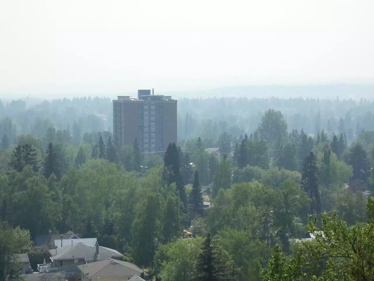 Experts urge B.C. residents to protect against wildfire smoke to prevent serious illness