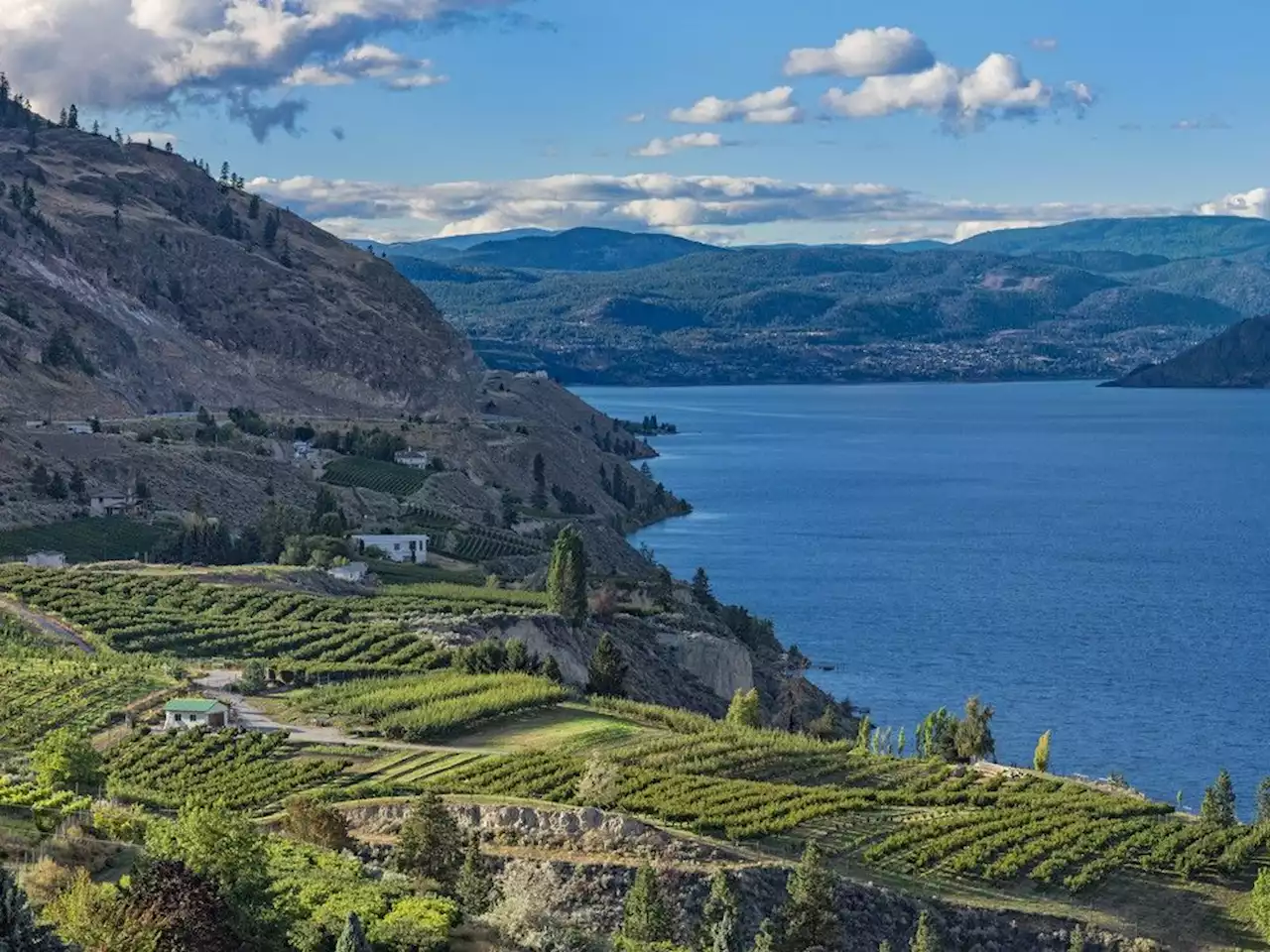 Okanagan Lake the deadliest in B.C. for drownings