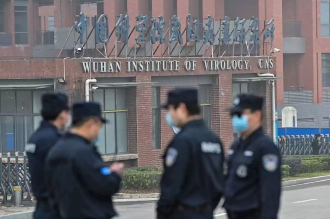 EUA suspendem financiamento a laboratório de Wuhan, epicentro da pandemia