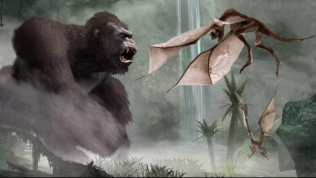 A new King Kong game has been leaked by Amazon | VGC