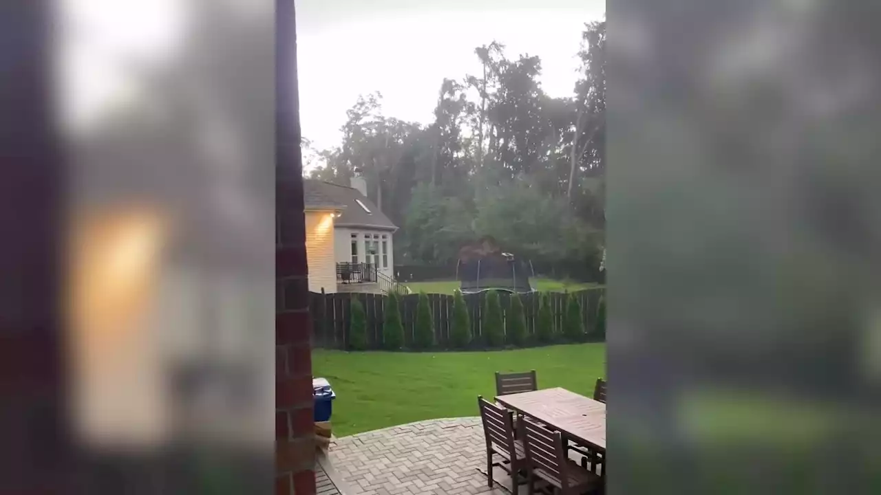 The Trees Just Keep Falling In Alabama Backyard - Videos from The Weather Channel