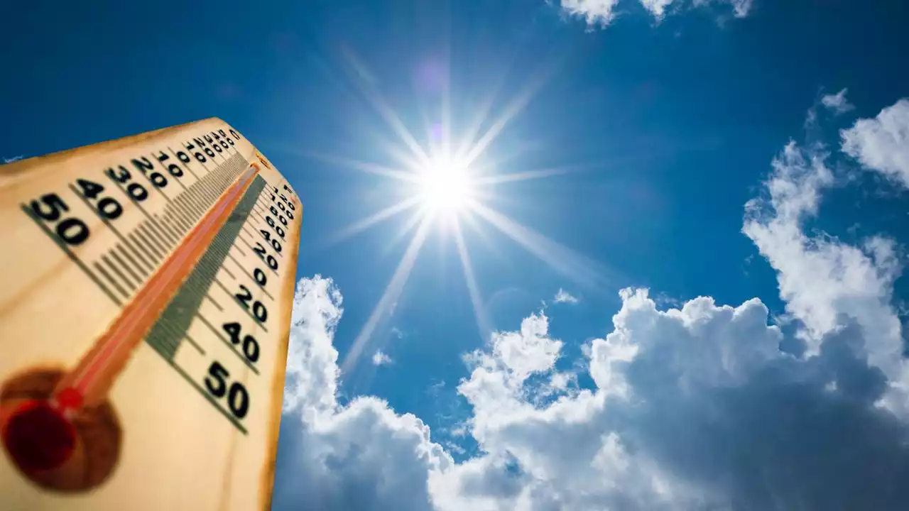 It’s hot: Phoenix hits 119 degrees, highest temperature since 2017