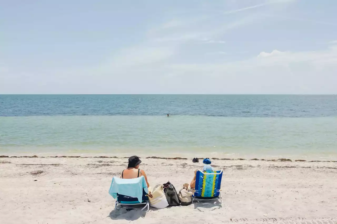 In Florida, Swimmers Brave an Ocean That Feels Like Steamy Syrup