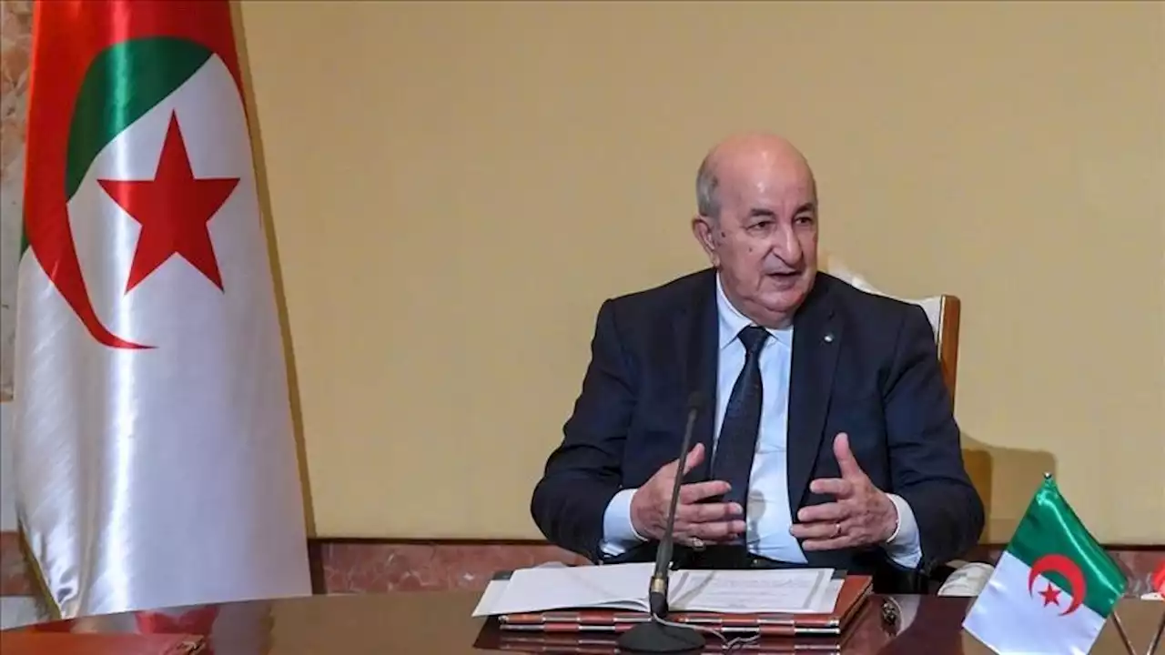 تبون: الجزایر و ترکیه روابط خوبی دارند