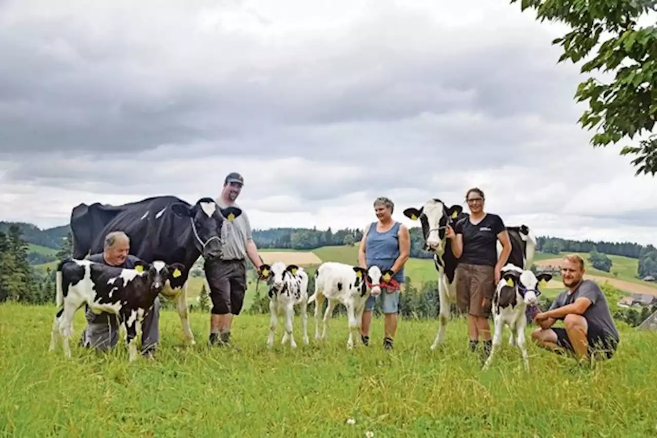 Zweimal Zwillinge und alles Kuhkälber bei der Familie Wyss-Brunner - bauernzeitung.ch