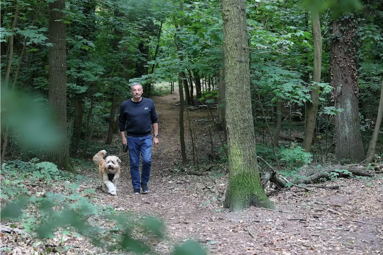 Wildschwein-Löwin: Zwischen Schrecken und Unglauben – so reagieren Anwohner