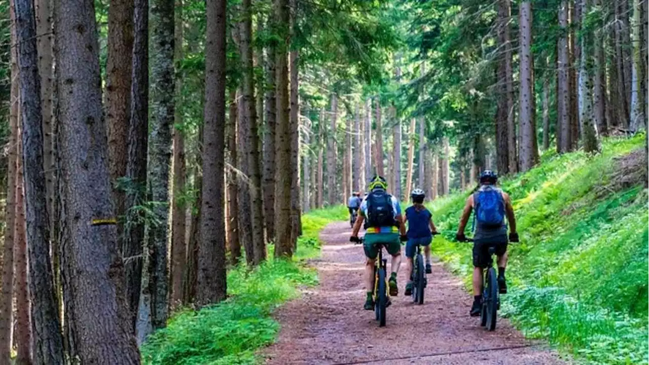 Tirol: Holländische E-Biker, deutsche Spaziergänger: Handgreifliches Ende nach Beinahe-Unfall