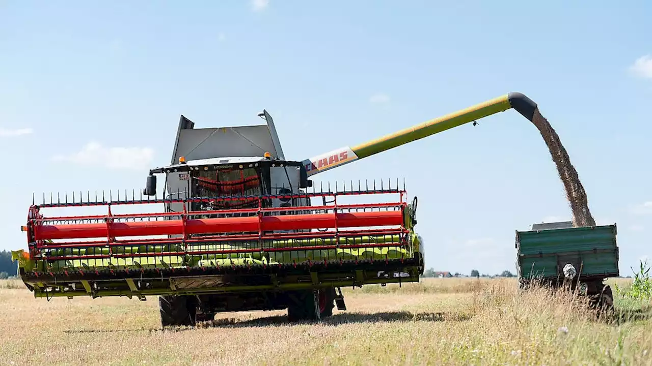 So heftig werden Landwirte beschimpft