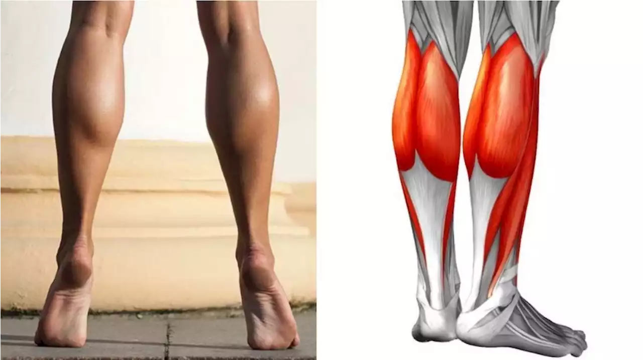 Get calves of steel: 14 exercises routines to strengthen your legs