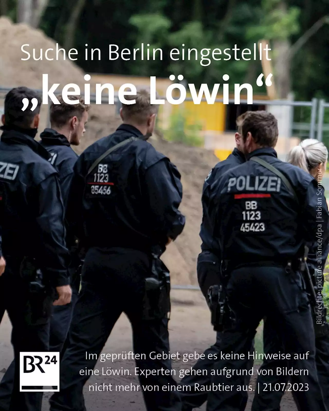 Polizei gibt Entwarnung: Wohl doch keine Löwin in Kleinmachnow