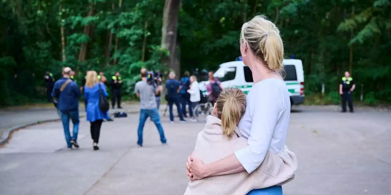 Entlaufene Löwin in Berlin: Tierspurensucher sollen helfen