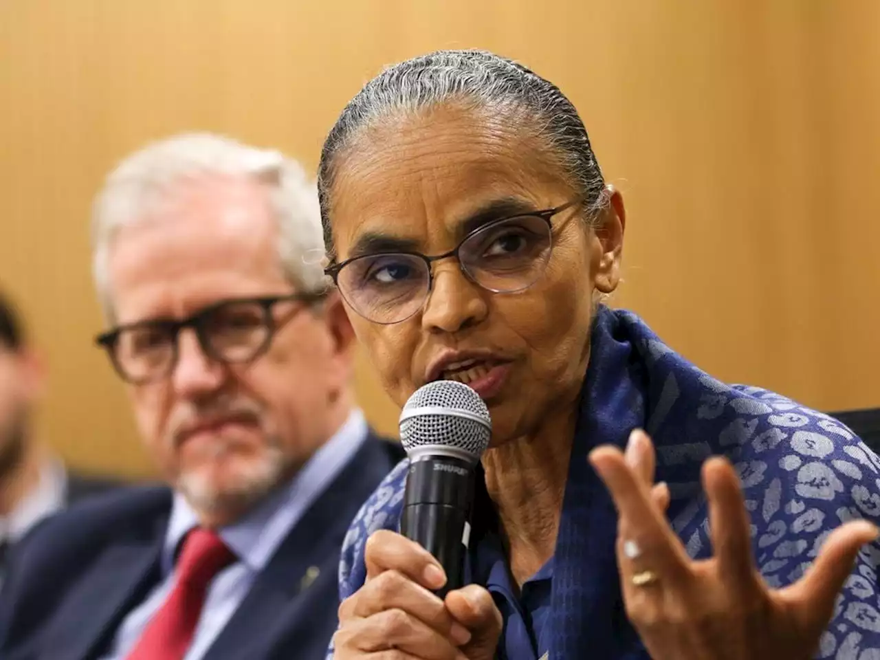 Proposta para mercado de carbono será enviada em agosto, diz Marina Silva