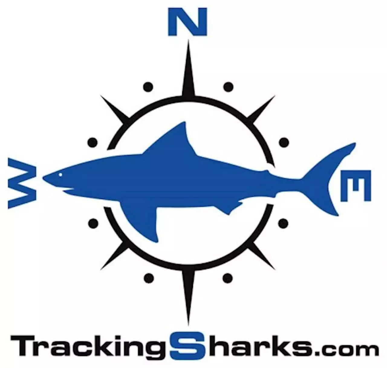 Tracking Sharks