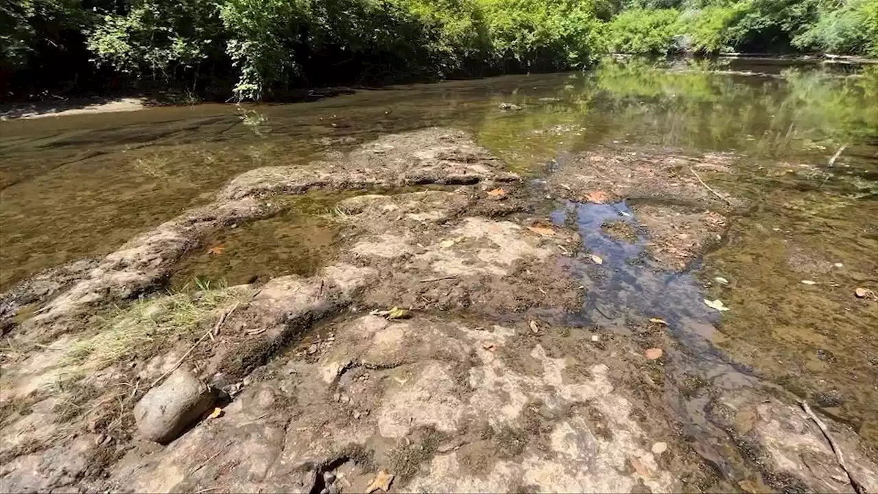 Island reached level 5 drought earlier than usual