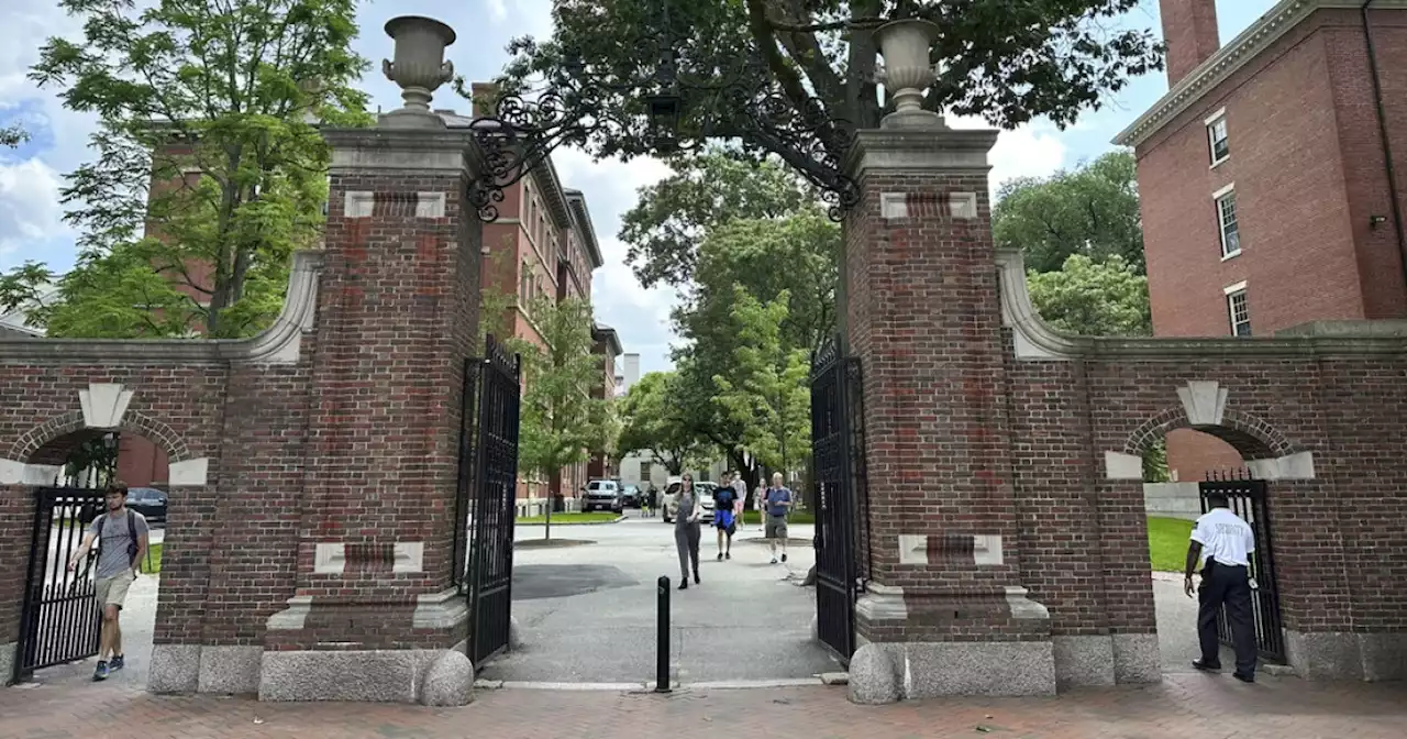 Ivy League students increasingly identify as LGBT, far outpacing national average