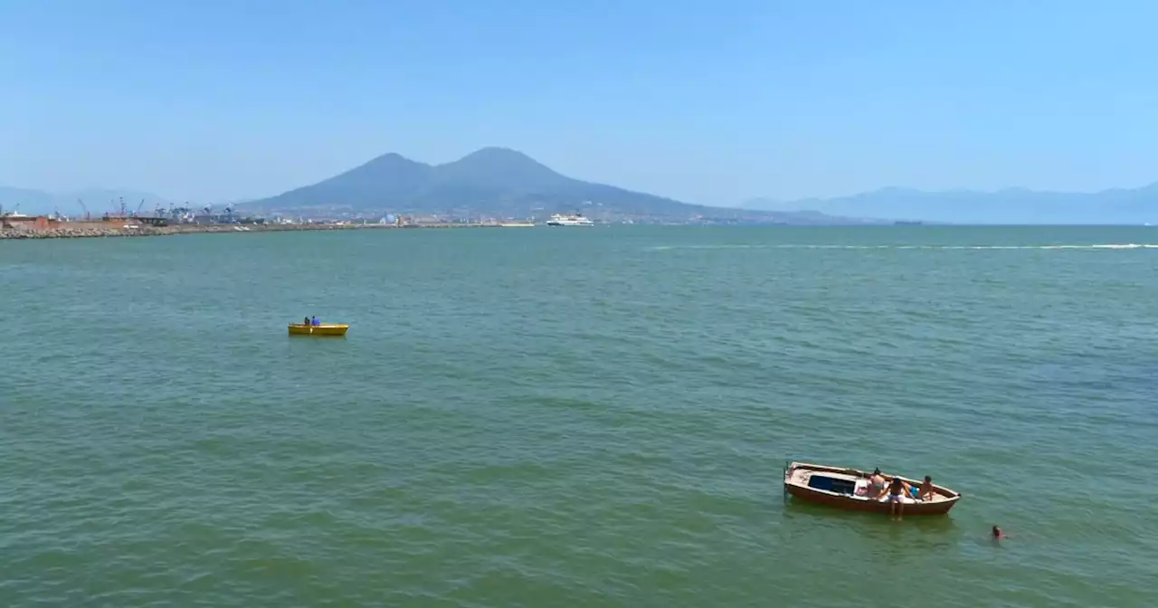 Gli effetti disastrosi delle ondate di calore sull'ecosistema marino: Mediterraneo sotto stress. L'esperto: 'Muoiono le specie nostrane, proliferano quelle tropicali' - Il Fatto Quotidiano