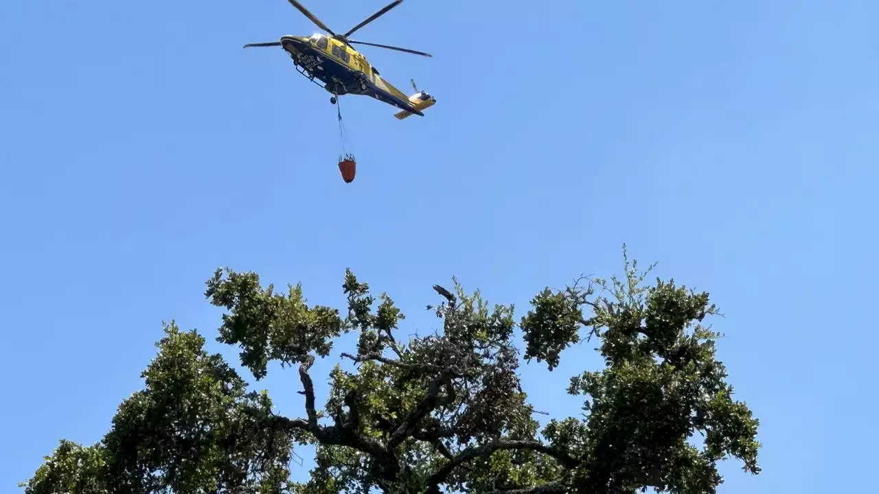 Ruby Ranch Fire: Crews contain 41.4-acre wildfire in Buda