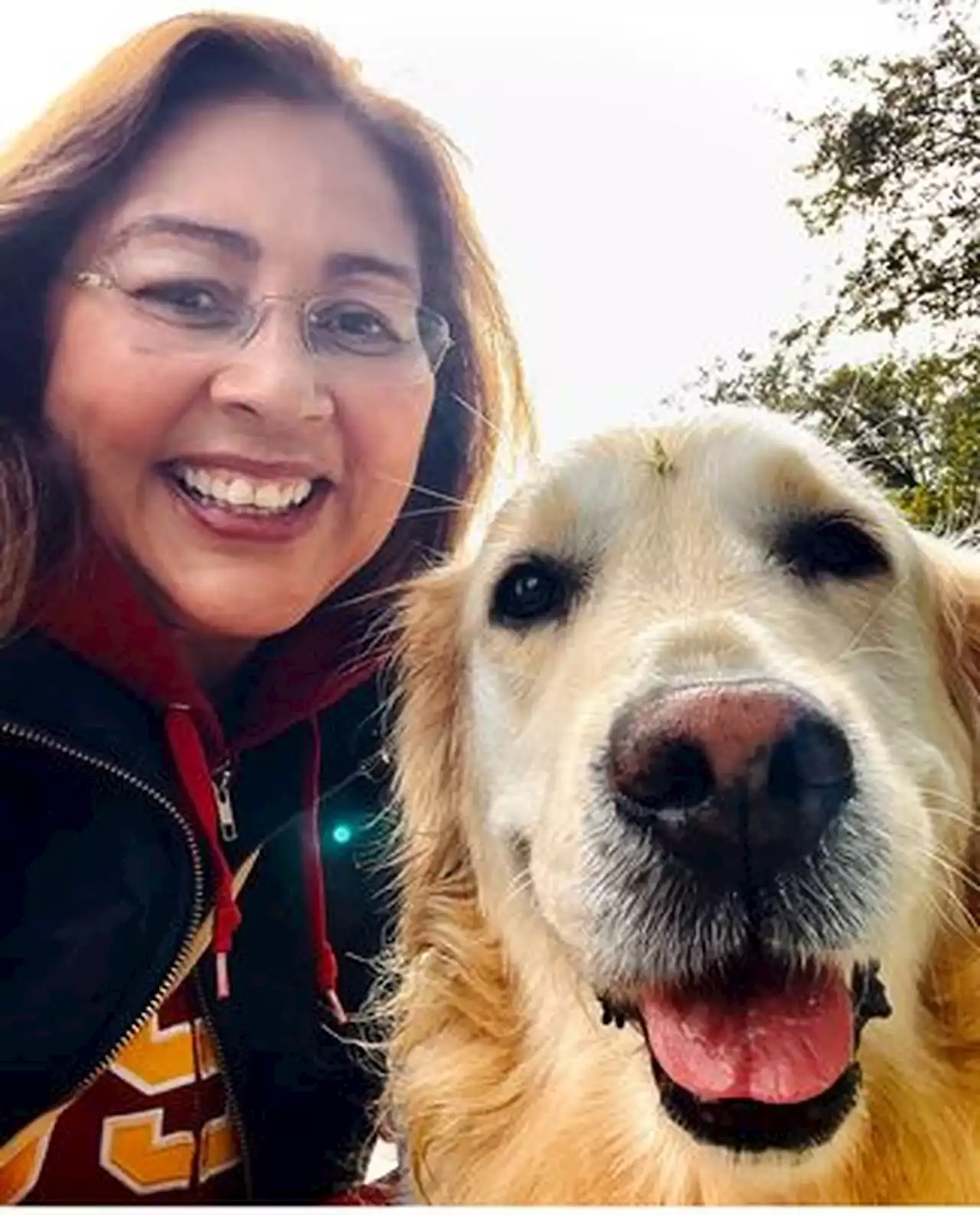 'A minha cachorra é a mais linda', diz tutora que participou de encontro com mais de 400 golden retrievers