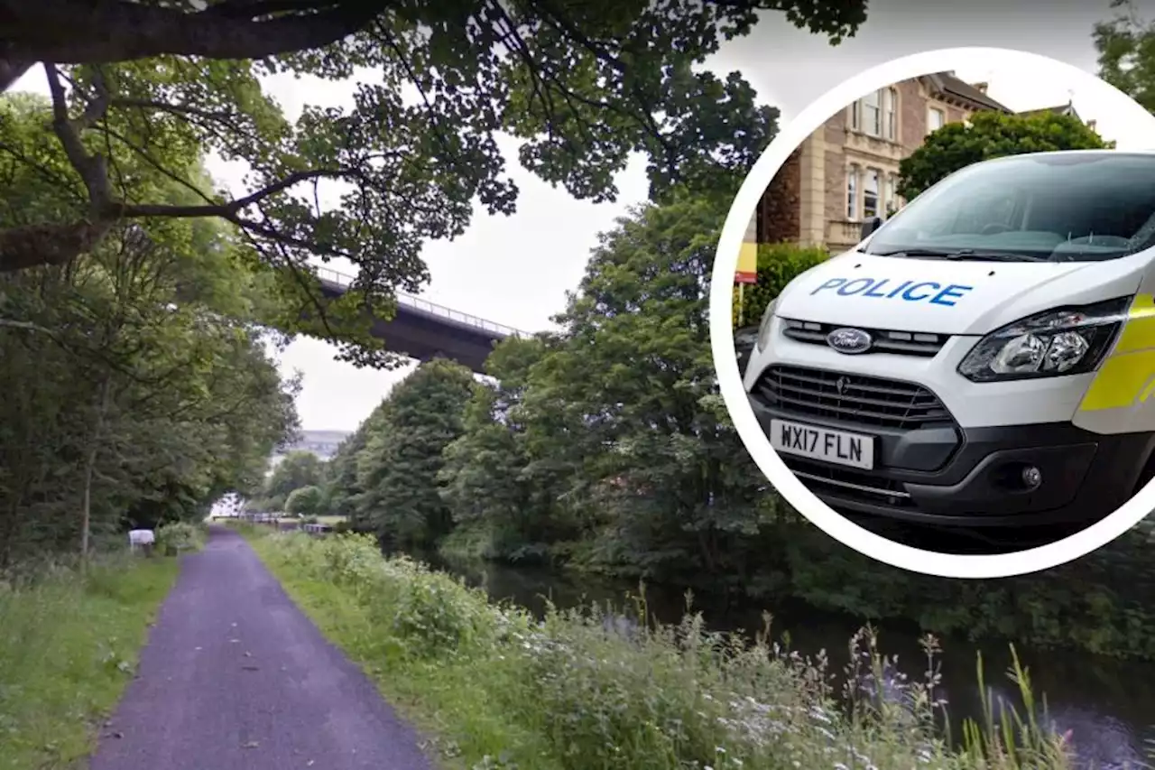 Pensioner, 84, dies after being knocked over by dog on canal path