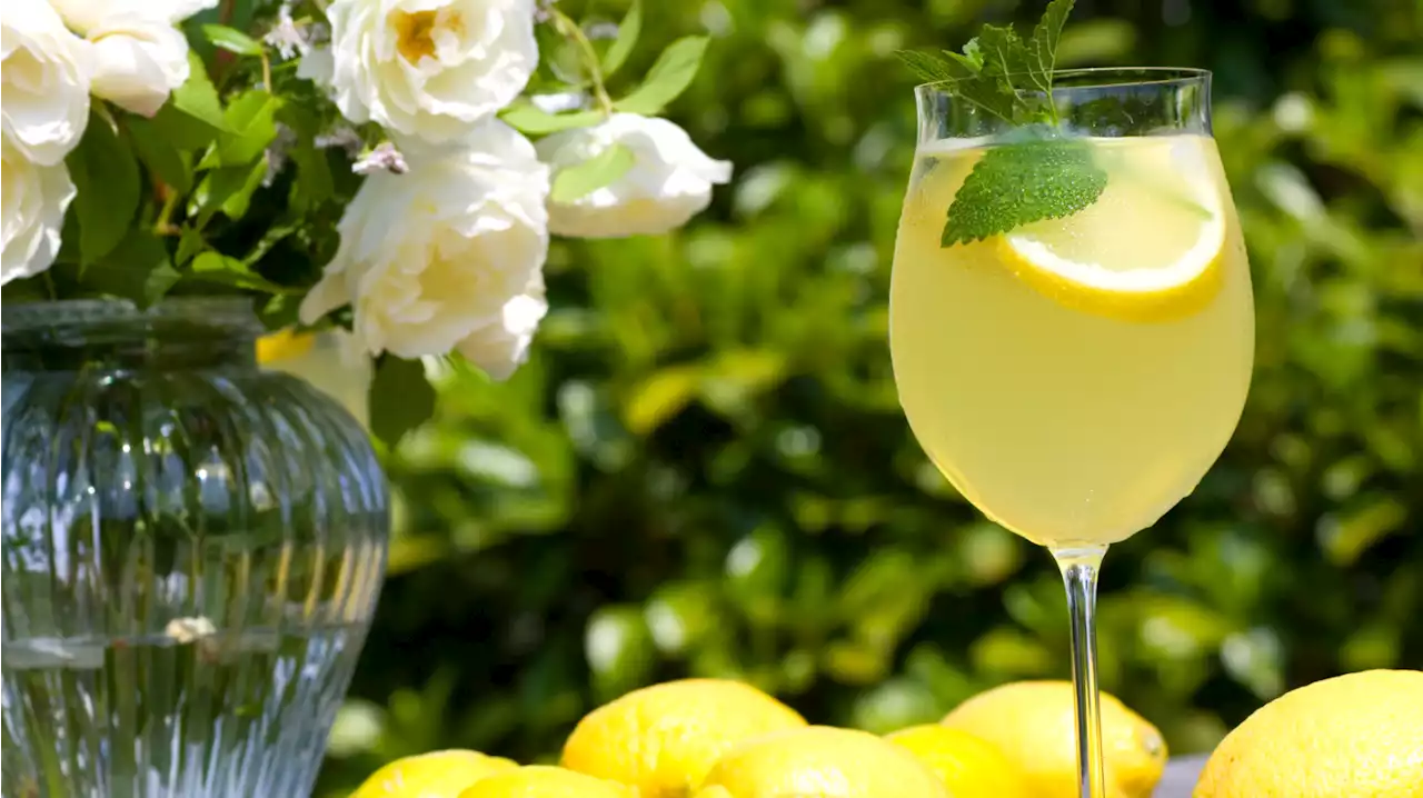 Besser als Aperol? Limoncello-Spritz ist DER neue Trend-Aperitif