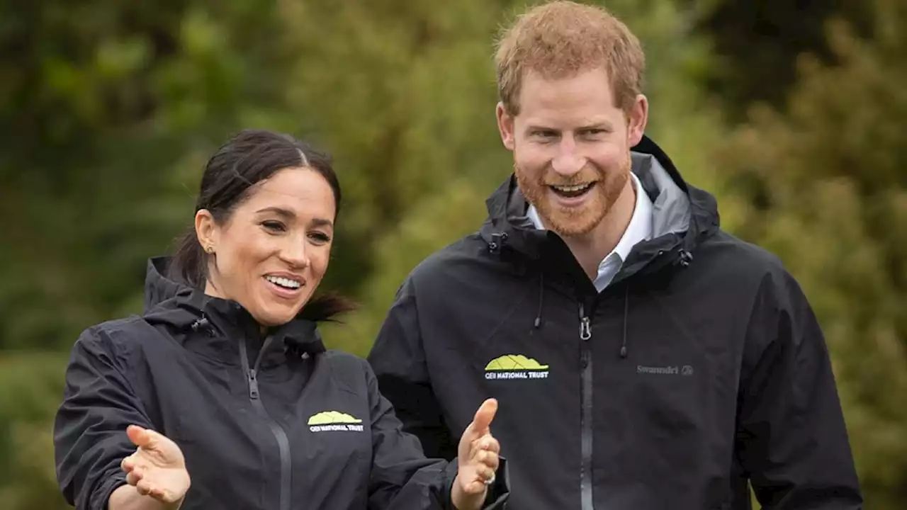 Prince Archie adorably clings to his father Prince Harry's legs in candid clip