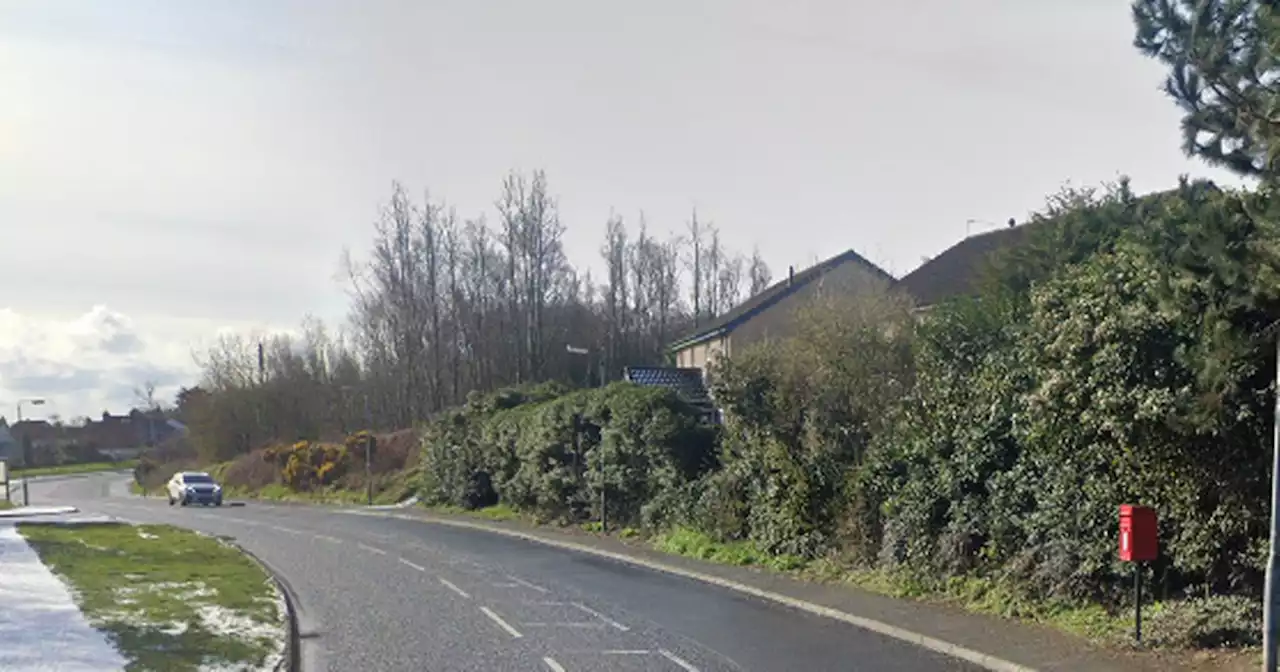 Search underway after young child approached by strange man in wooded area