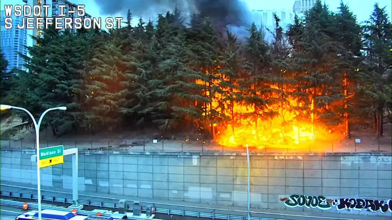 Large brush fire breaks out above I-5 in downtown Seattle