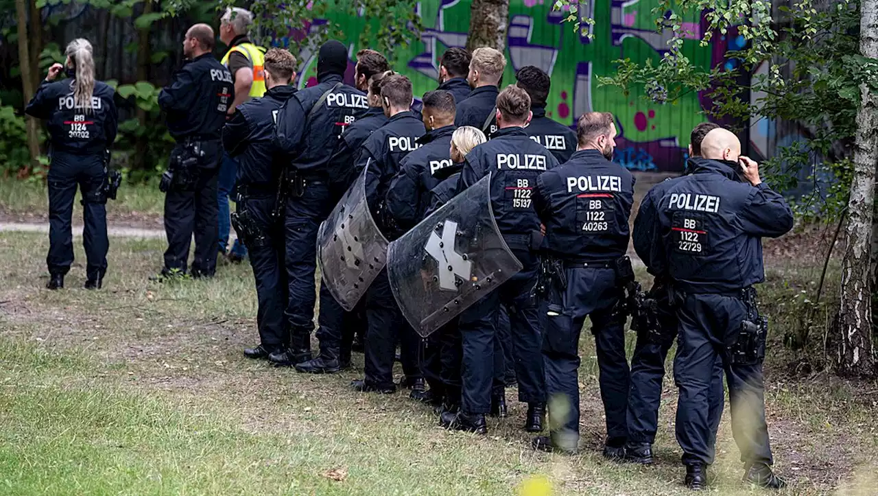 Doch keine Löwin - aber 30 Stunden Ausnahmezustand