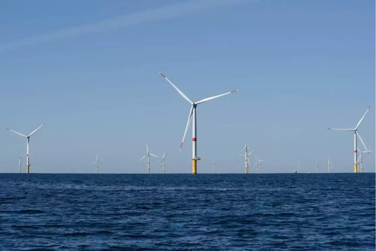 First offshore wind leases off the Texas coast offered for bidding